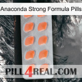 Anaconda Strong Formula Pills 26